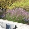 4-Panel Decorative Fencing: Swirls Design, Metal Yard Barrier for Pets & Flower Bed Edge|